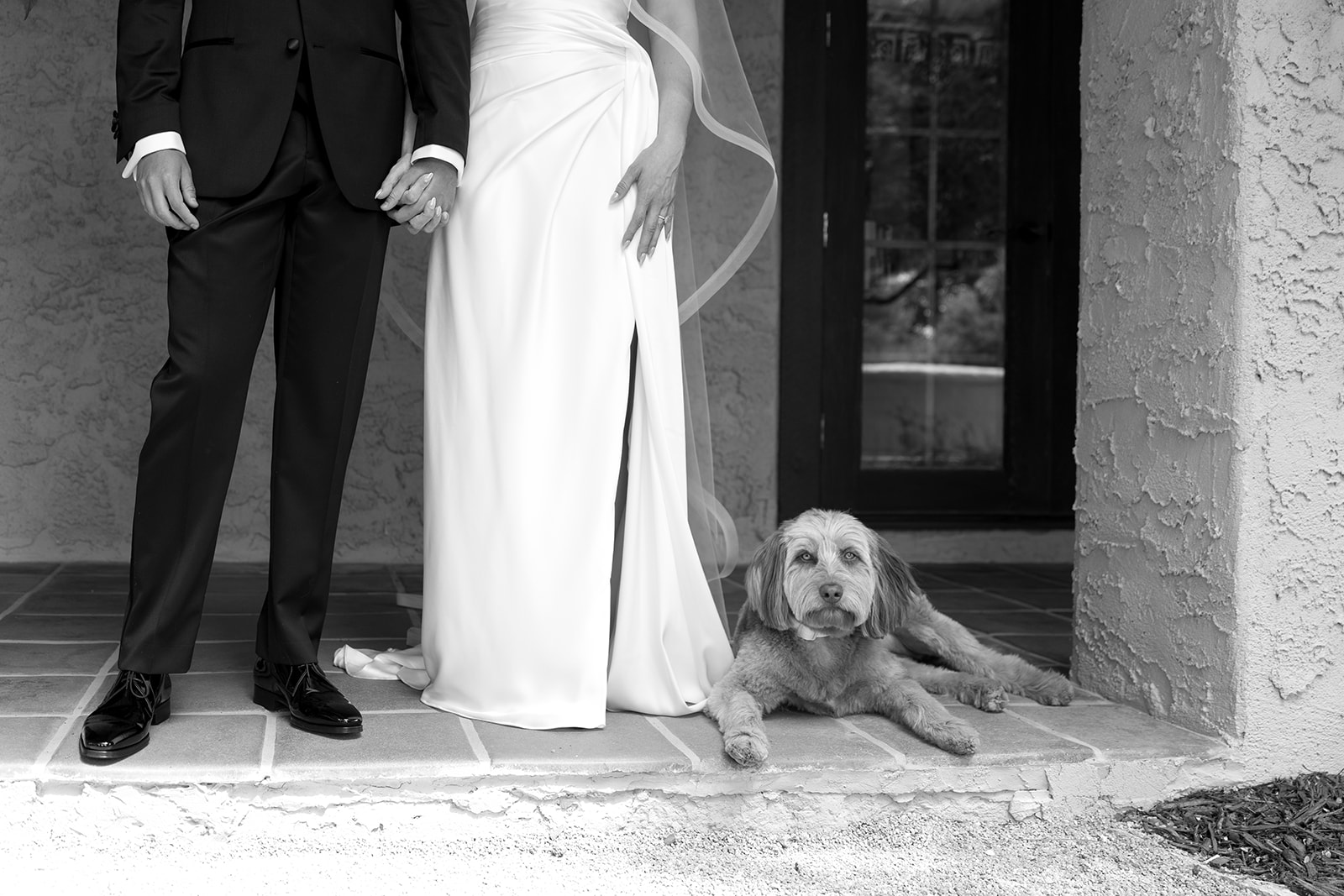 bride and groom with their dog lying beside them at villa parker